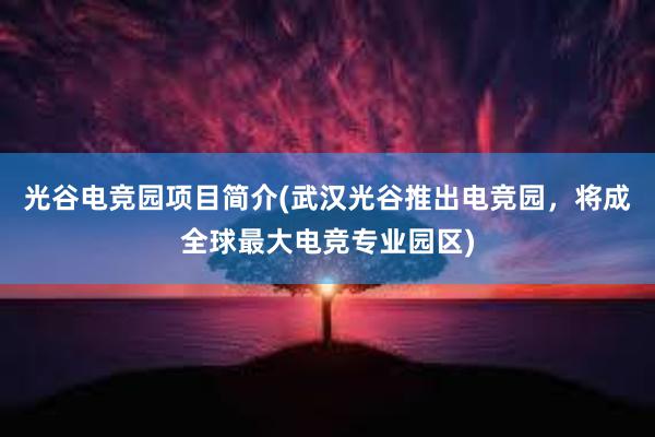 光谷电竞园项目简介(武汉光谷推出电竞园，将成全球最大电竞专业园区)