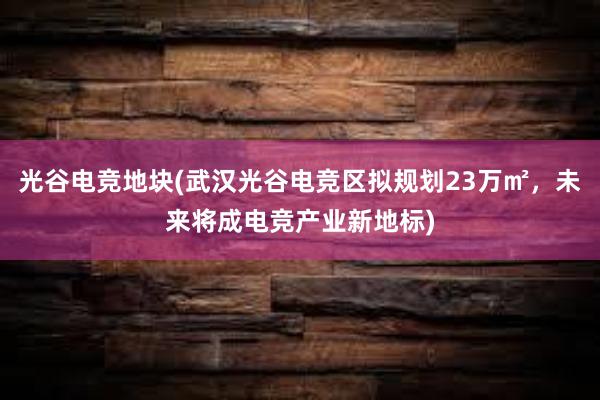 光谷电竞地块(武汉光谷电竞区拟规划23万㎡，未来将成电竞产业新地标)