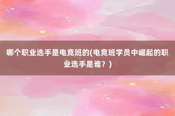 哪个职业选手是电竞班的(电竞班学员中崛起的职业选手是谁？)