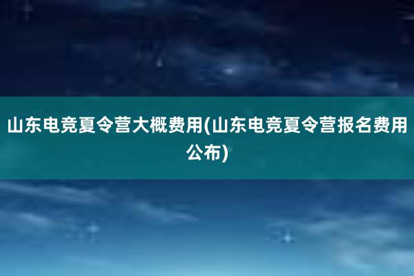 山东电竞夏令营大概费用(山东电竞夏令营报名费用公布)