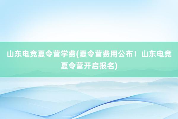 山东电竞夏令营学费(夏令营费用公布！山东电竞夏令营开启报名)