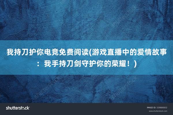 我持刀护你电竞免费阅读(游戏直播中的爱情故事：我手持刀剑守护你的荣耀！)