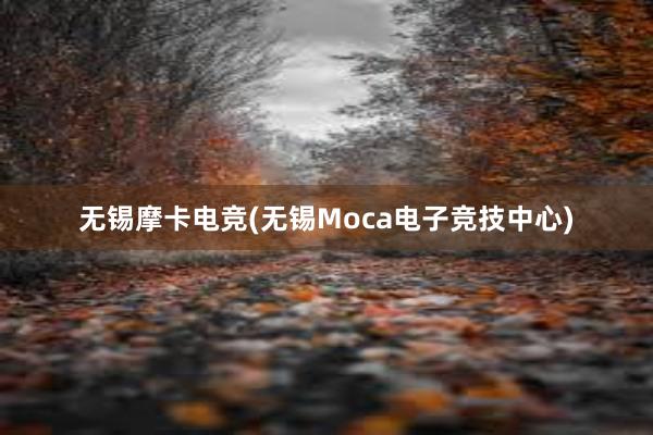 无锡摩卡电竞(无锡Moca电子竞技中心)