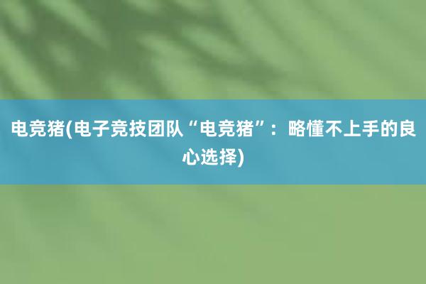 电竞猪(电子竞技团队“电竞猪”：略懂不上手的良心选择)