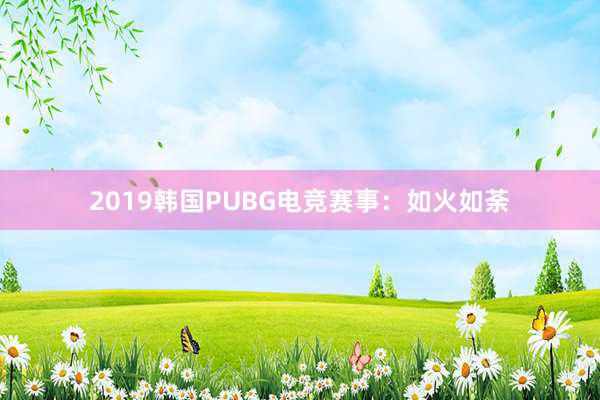 2019韩国PUBG电竞赛事：如火如荼