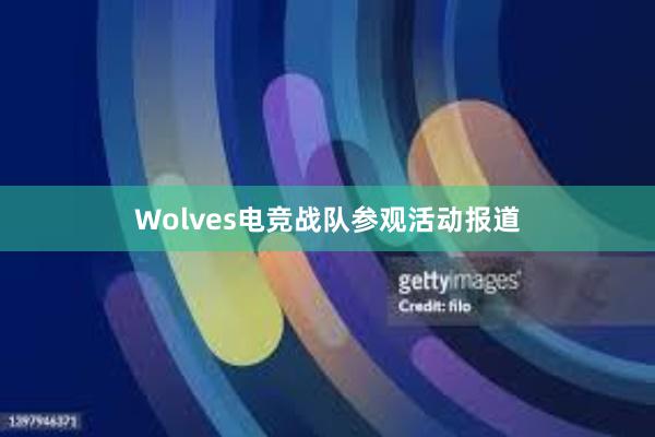 Wolves电竞战队参观活动报道