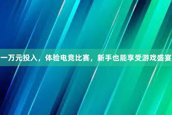 一万元投入，体验电竞比赛，新手也能享受游戏盛宴