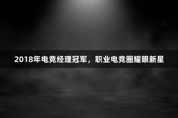 2018年电竞经理冠军，职业电竞圈耀眼新星