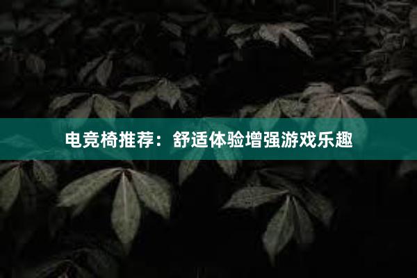 电竞椅推荐：舒适体验增强游戏乐趣