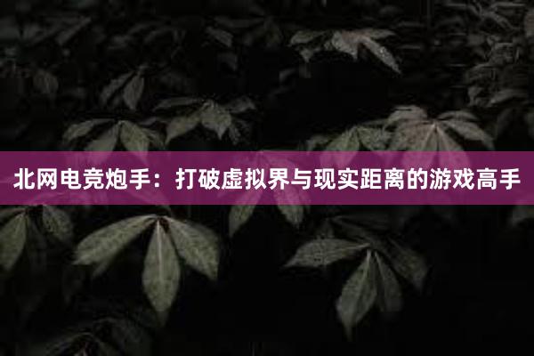 北网电竞炮手：打破虚拟界与现实距离的游戏高手