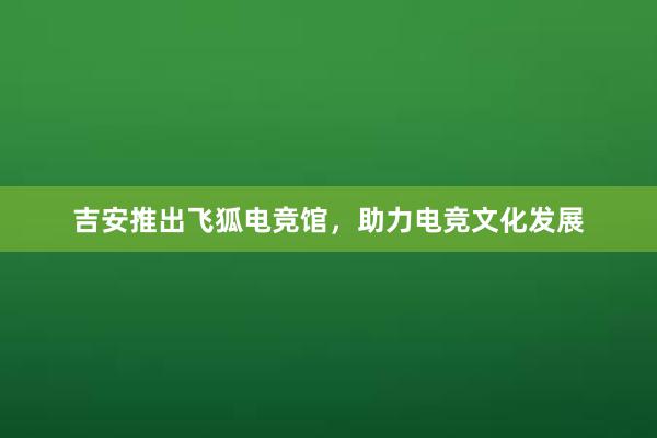 吉安推出飞狐电竞馆，助力电竞文化发展