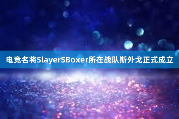 电竞名将SlayerSBoxer所在战队斯外戈正式成立