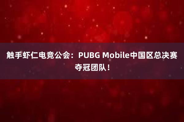 触手虾仁电竞公会：PUBG Mobile中国区总决赛夺冠团队！