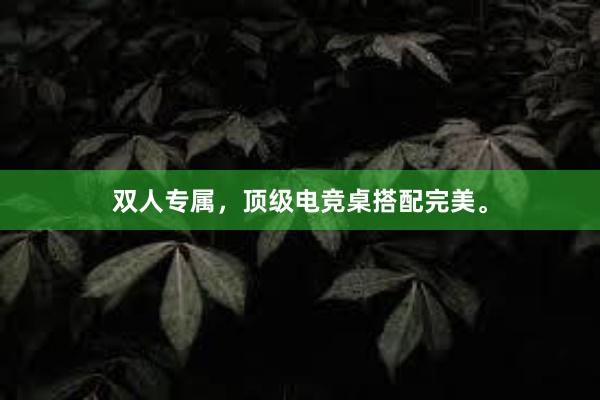 双人专属，顶级电竞桌搭配完美。